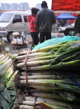 瘋狂的大蔥囤貨風(fēng)波 經(jīng)銷(xiāo)商獲利千萬(wàn)與酒業(yè)的警示